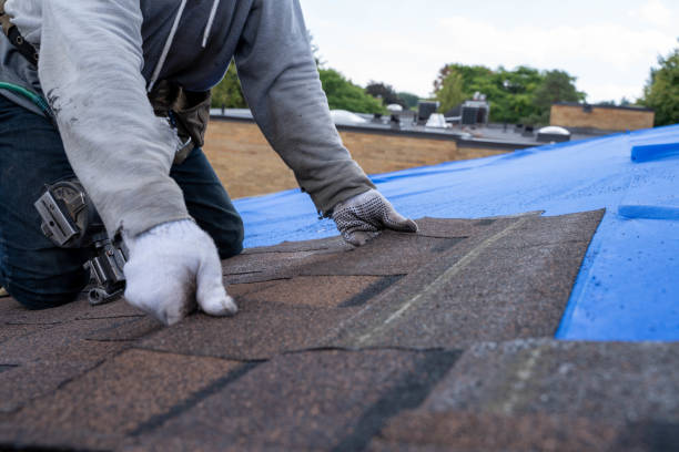 Best Local Roofing Companies  in Clay City, KY