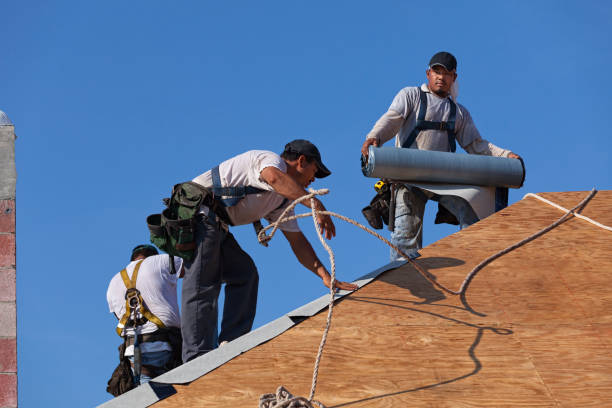 Best Emergency Roof Repair  in Clay City, KY